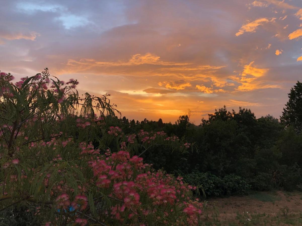 Auberge Gekko Ornaisons Dış mekan fotoğraf